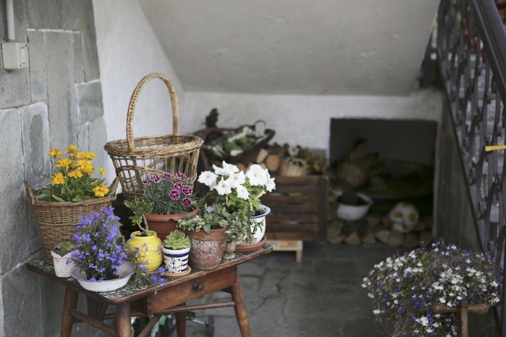 B&B La Gerbolina San Giusto Canavese Εξωτερικό φωτογραφία