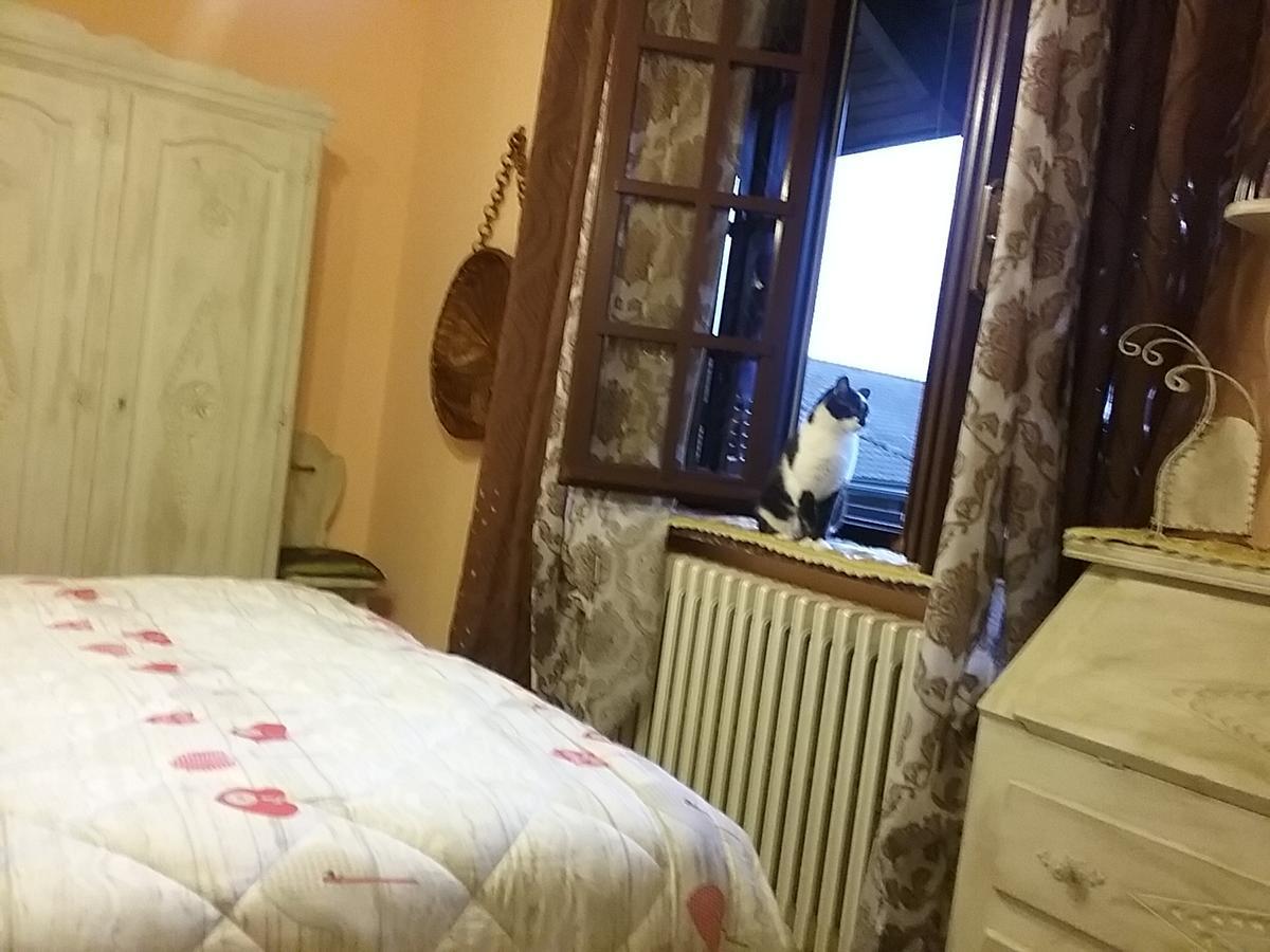 B&B La Gerbolina San Giusto Canavese Εξωτερικό φωτογραφία