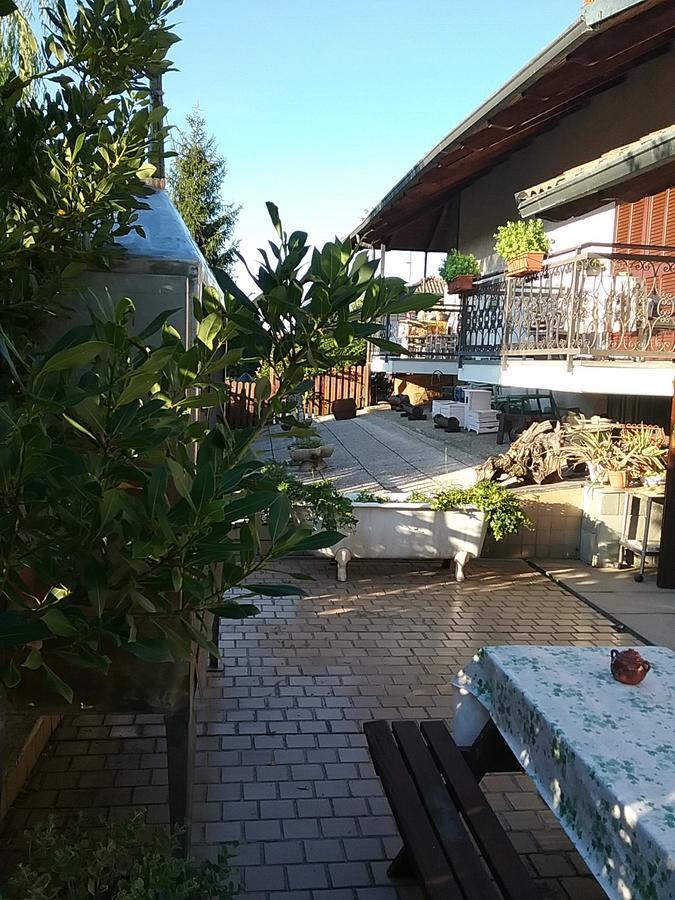 B&B La Gerbolina San Giusto Canavese Εξωτερικό φωτογραφία